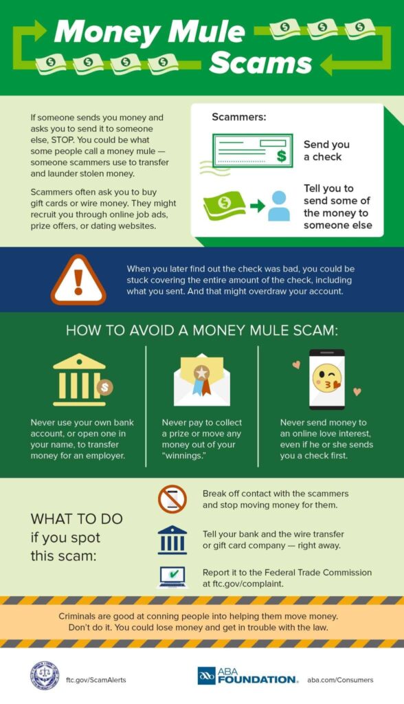 Money Mule Scams infographic explaining how to detect and avoid scams